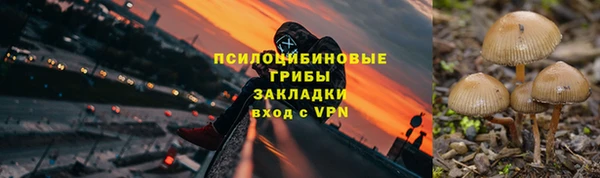 трава Строитель