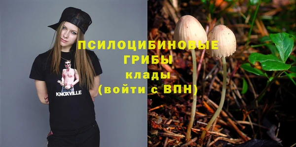 трава Строитель