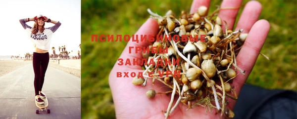 прущие крисы Струнино